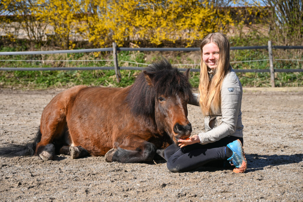 Horse training – Riina Talvikki